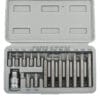 Dual Length Torx Bit Set 15PC made in Taiwan. Features CR-V SAE 6150 steel, 30mm & 75mm lengths, and 1/2" Dr. adapter. High-quality OEM set for global brands. | SKILLTEK
