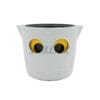 Our medium owl planter features a smart water gauge and a modern aesthetic. Designed for high-volume retail with extensive ODM options for your exclusive branding.
